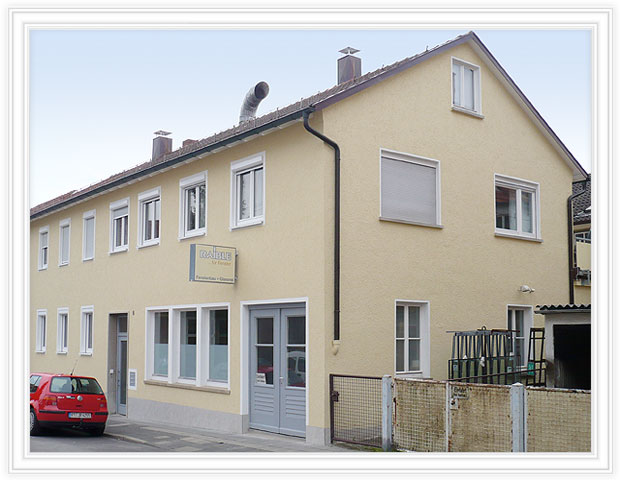 Fassadensanierung mit Gewebearmierung  Anbringung mineralischer Oberputz Farbanstrich.